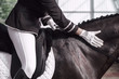Jockey in saddle on horseback