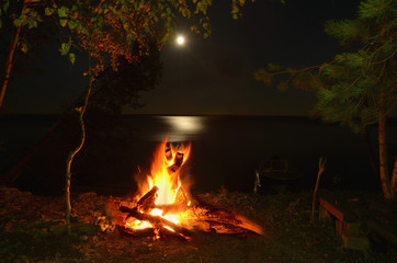 Wall Mural - Big night bonfire on the riverbank in the forest clearing, flames, sparks and fireplace.