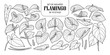 Set of isolated Flamingo in 19 styles. Cute hand drawn flower vector illustration in black outline and white plane.