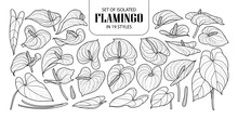 Set Of Isolated Flamingo In 19 Styles. Cute Hand Drawn Flower Vector Illustration In Black Outline And White Plane.