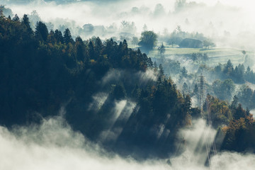 Obraz na płótnie góra natura las sztorm pejzaż