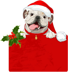 Wall Mural - Christmas English bulldog