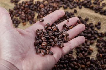 Wall Mural - Coffee beans in heand with blured background