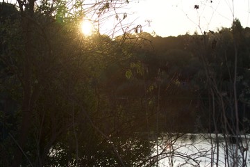 Riverfront Regional Park - two beautiful lakes for fishing, kayaking, canoeing and stand-up paddling. A trail loops around the larger lake, Lake Benoist, with beach on the Russian River, redwood.