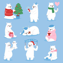 Christmas White Bear Vector Animal Cute Beauty Character Funny Style Different Poses Celebrate Xmas Holiday Or New Year Time Big Animal