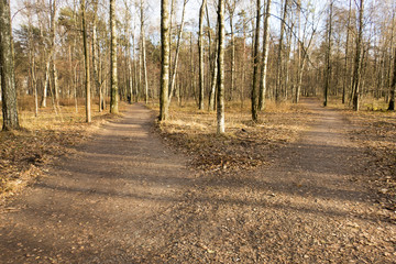 fork of two roads in the autumn park