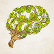 © kirasolly - Healthy brain  concept illustration. Tree and leaves in form of brain. Hand draw helthy conceptual brain illustration