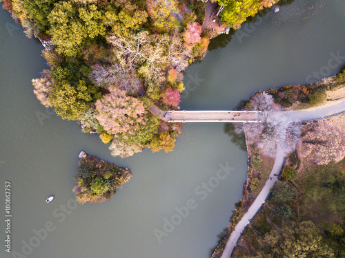 Fotografie, Obraz Aerial view of Central park lake in autumn