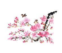 Chinese Painting Of Flowers, Peach Blossom On White Background