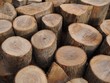 Erneuerbare Wärmeenergie - Gerodete Baumstämme in Stücken