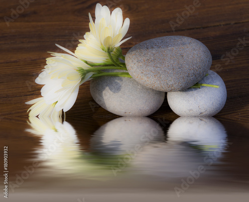 flores y piedras redondas