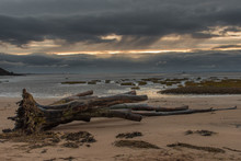 Sunrise Over The Solway In The South Scottish Coast With A Large Tree Trunk Which Has Drifted Onto The Beach During A Storm On Sandyhills Beach