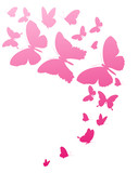 Fototapeta Motyle - beautiful pink flowers , on a white