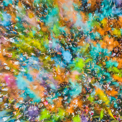 Wall Mural - Crowd of people at the Holly Colors Festival, top view