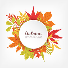 Aufkleber - White circle surrounded by various colorful autumn tree leaves and branches and place for text in center