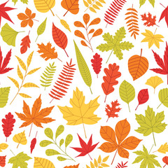Aufkleber - Elegant seamless pattern with fallen autumn leaves of various type and color on white background. Autumnal backdrop with colorful foliage. Vector illustration for textile print, wrapping paper.