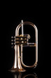 Trumpet, wind instrument 