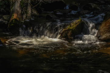 water fall under a tree