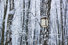 Wooden Birdhouse On Tree In Winter Forest