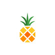 home pineapple logo