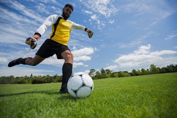 Wall Mural - Goalkeeper kicking football in the ground