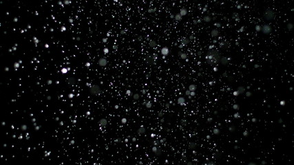 Wall Mural - snowfall bokeh lights on black background, shot of flying snowflakes in the air