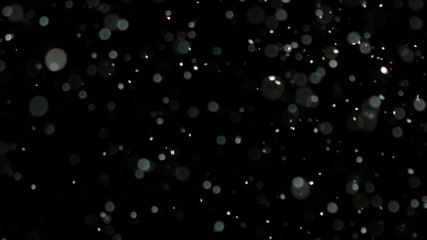 Wall Mural - snowfall bokeh lights on black background, shot of flying snowflakes in the air