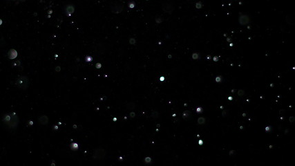 Wall Mural - snowfall bokeh lights on black background, shot of flying snowflakes in the air