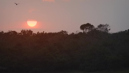 Wall Mural - Sun Setting over the Wilderness at Yala National Park. 4k footage 2160p