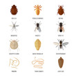 Insects parasite vermin vector pest beetle danger animal repellent wildlife disease bug insecticide ad illustration.
