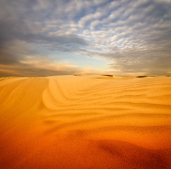 Canvas Print - sand desert landscape