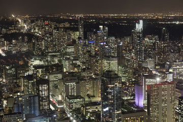 Wall Mural - City of Toronto at night