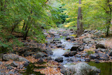 Fototapeta  - creek in Hudson Valley New York