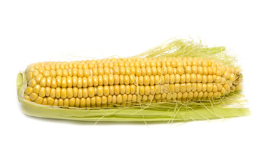 Canvas Print - Yellow corn in the cob on a white background