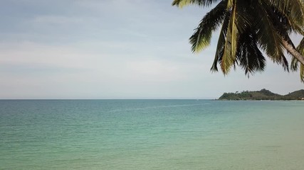 Wall Mural - palm trees and sea beach, camera moving up, aerial landscape