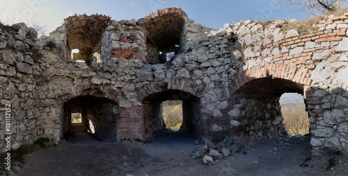 the ruins of the Děvičky castle in Palava hills in the Czech Republic Poster