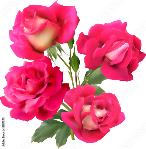 four-pink-isolated-roses-in-bunch