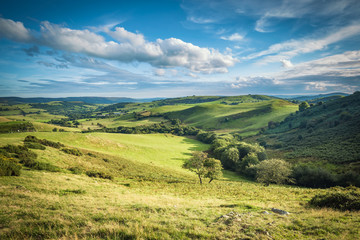 scenic british countryside at summer