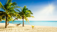 Sunny Carribean Beach With Palmtrees And Traditional Braided Hammock