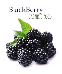 Poster - Sweet blackberries .