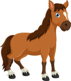 Fototapeta  - Cute horse cartoon