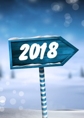 Canvas Print - 2018 New Year text on Wooden signpost in Christmas Winter