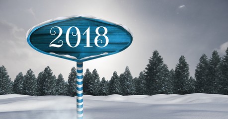 Poster - 2018 New Year text on Wooden signpost in Christmas Winter