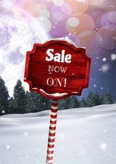Poster - Sale now on text on Wooden signpost in Christmas Winter