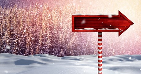 Poster - Wooden signpost in Christmas Winter landscape