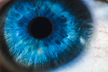 An enlarged image of eye with a blue iris, eyelashes and sclera. the shot is made by a slit lamp with a built-in camera