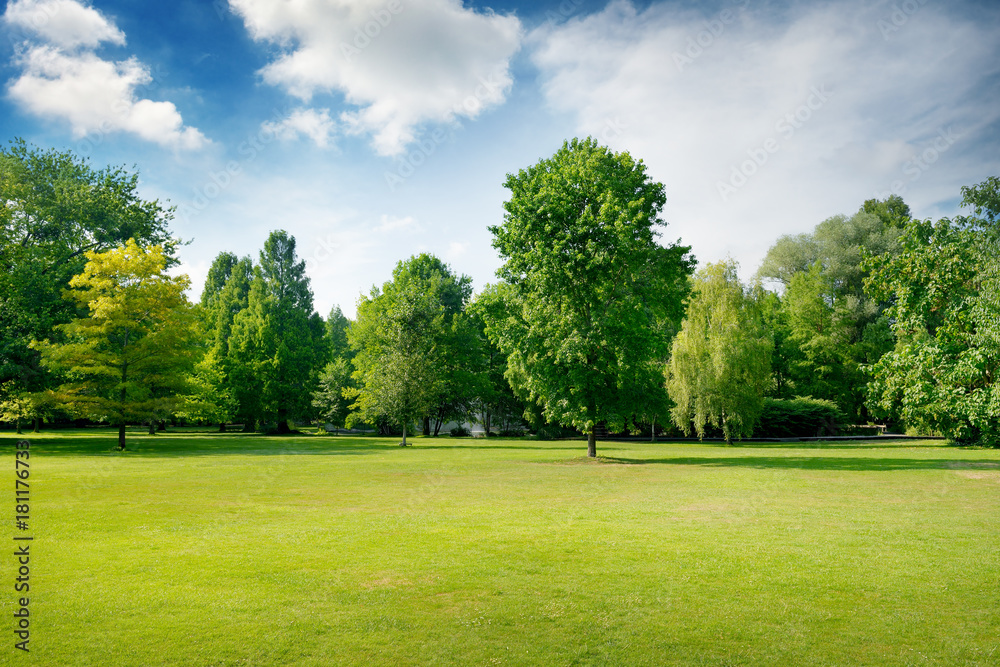 Picturesque green glade in city park. Green grass and trees. - obrazy, fototapety, plakaty 