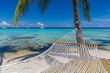 hammoc on the lagoon beach of tahaa, French polynesia