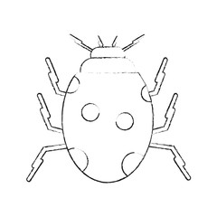 Poster - Cute ladybug insect icon vector illustration graphic design