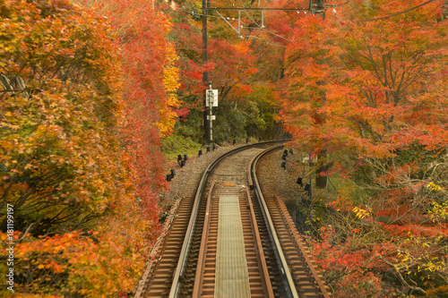 Obraz Dibond Eizan Electric Railway / Momiji Tunnel